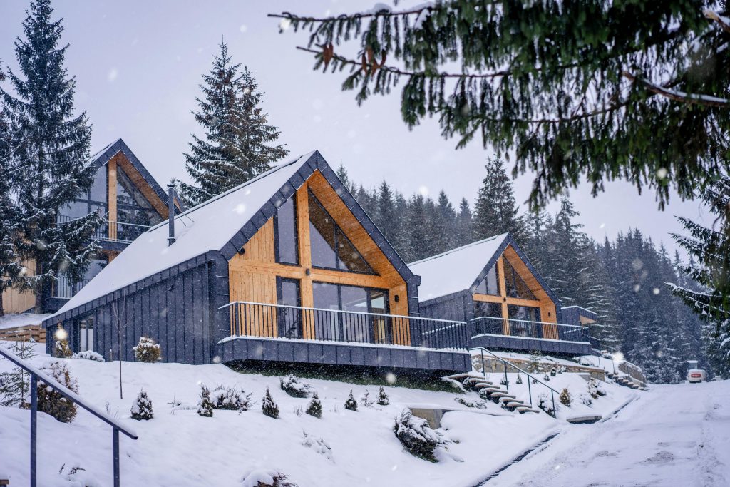 Exterior of expensive contemporary houses in forest with coniferous trees covered with snow in frosty weather